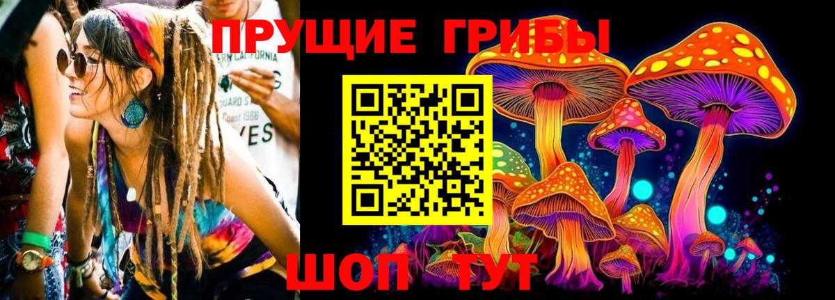 Псилоцибиновые грибы Psilocybine cubensis Канск